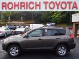 2010 Toyota RAV4 I4 4WD