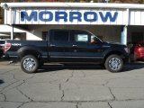 2013 Tuxedo Black Metallic Ford F150 Platinum SuperCrew 4x4 #72040129