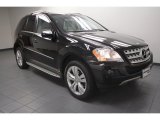 2010 Mercedes-Benz ML 350