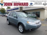 2013 Sage Green Metallic Subaru Forester 2.5 X Premium #72040566