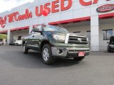 2010 Spruce Green Mica Toyota Tundra Double Cab #72159604