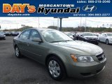2008 Hyundai Sonata GLS