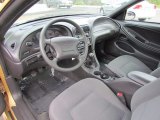 2000 Ford Mustang V6 Coupe Medium Graphite Interior