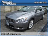 2009 Precision Gray Metallic Nissan Maxima 3.5 SV #72246233