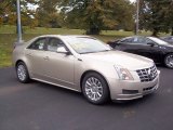 Silver Coast Metallic Cadillac CTS in 2013