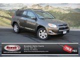 2012 Pyrite Mica Toyota RAV4 V6 Limited 4WD #72346492