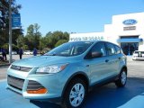 2013 Frosted Glass Metallic Ford Escape S #72346674