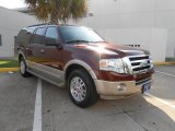 Dark Copper Metallic Ford Expedition in 2008