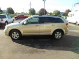 2010 Dodge Journey SXT