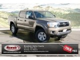 Pyrite Mica Toyota Tacoma in 2013