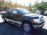 2013 Green Gem Metallic Ford F150 XLT SuperCrew 4x4 #72469977