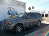 2010 Sterling Grey Metallic Ford Expedition Limited #72522013
