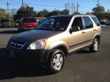 2004 Mojave Mist Metallic Honda CR-V EX 4WD #72551807