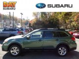 2013 Cypress Green Pearl Subaru Outback 2.5i Limited #72597636