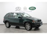 Highland Green Metallic BMW X5 in 2004