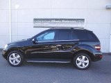 2010 Mercedes-Benz ML 350