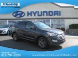 2013 Marlin Blue Hyundai Santa Fe Sport AWD #72705818