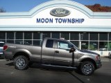 2013 Sterling Gray Metallic Ford F150 XLT SuperCab 4x4 #72705916