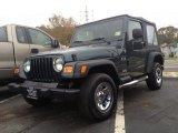 2005 Deep Beryl Green Pearl Jeep Wrangler X 4x4 #72706494