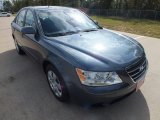 2010 Hyundai Sonata GLS