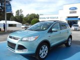 2013 Frosted Glass Metallic Ford Escape SEL 2.0L EcoBoost #72705833