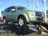 Kiwi Green Metallic Ford Escape in 2008
