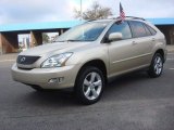 Savannah Beige Metallic Lexus RX in 2005