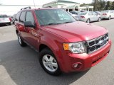 2012 Ford Escape XLT V6