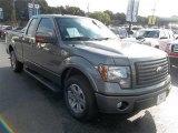 Sterling Grey Metallic Ford F150 in 2010