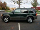 2002 Ford Escape Dark Highland Green Metallic
