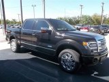 2013 Ford F150 Platinum SuperCrew 4x4