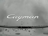 Porsche Cayman 2007 Badges and Logos