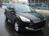 Kodiak Brown Metallic Ford Escape in 2013