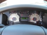 2013 Ford Expedition King Ranch 4x4 Gauges