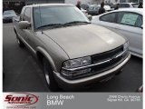 Light Pewter Metallic Chevrolet S10 in 2001