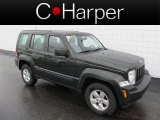 Natural Green Pearl Jeep Liberty in 2012