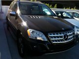 2009 Black Mercedes-Benz ML 350 #72945444