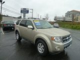 2010 Gold Leaf Metallic Ford Escape Limited V6 #72945521