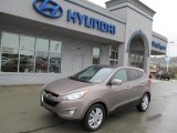 2010 Chai Bronze Hyundai Tucson Limited #72945517