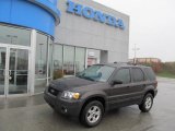 2006 Ford Escape XLT V6 4WD