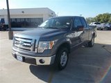2010 Sterling Grey Metallic Ford F150 XLT SuperCab #72991515