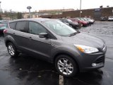 2013 Sterling Gray Metallic Ford Escape SEL 1.6L EcoBoost 4WD #72991598