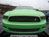 Gotta Have It Green Ford Mustang in 2013