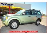 2008 Kiwi Green Metallic Ford Escape XLS #72991890
