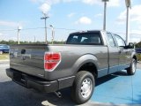 Sterling Gray Metallic Ford F150 in 2013