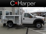 2012 Oxford White Ford F450 Super Duty XL Regular Cab Chassis 4x4 #73054066