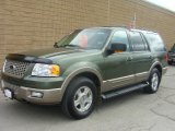 2003 Estate Green Metallic Ford Expedition Eddie Bauer 4x4 #7289132