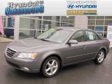 2009 Willow Gray Hyundai Sonata SE #73054037