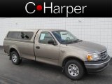 2003 Arizona Beige Metallic Ford F150 XL Regular Cab #73054760