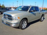 2010 Light Graystone Pearl Dodge Ram 1500 Big Horn Crew Cab #73054727